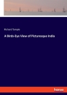 A Birds-Eye View of Picturesque India By Richard Tample Cover Image