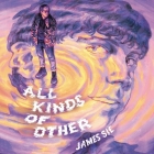 All Kinds of Other Lib/E By James Sie, James Sie (Read by), Shaan Dasani (Read by) Cover Image