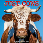 Just Cows 2022 Wall Calendar Cover Image
