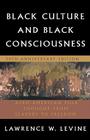 Black Culture and Black Consciousness: Afro-American Folk Thought from Slavery to Freedom By Lawrence W. Levine Cover Image