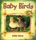 Baby Birds By Bobbie Kalman Cover Image
