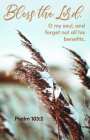 Forget Not  Bulletin (Pkg 100) General Worship By Broadman Church Supplies Staff (Contributions by) Cover Image