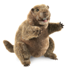 Groundhog By Folkmanis Puppets (Created by) Cover Image