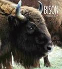 Living Wild: Bison By Melissa Gish Cover Image