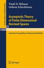 Asymptotic Theory of Finite Dimensional Normed Spaces: Isoperimetric Inequalities in Riemannian Manifolds (Lecture Notes in Mathematics #1200) By Vitali D. Milman, Gideon Schechtman Cover Image