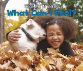 What Can I Feel? Cover Image