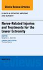 Nerve Related Injuries and Treatments for the Lower Extremity, an Issue of Clinics in Podiatric Medicine and Surgery: Volume 33-2 (Clinics: Orthopedics #33) Cover Image