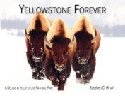 Yellowstone Forever: A Decade in Yellowstone National Park By Stephen C. Hinch (Photographer) Cover Image