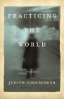 Practicing the World By Judith Sornberger Cover Image