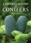 A Natural History of Conifers By Aljos Farjon Cover Image