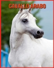Cavallo Arabo: Cavallo Arabo Affascinanti Fatti per i bambini con immagini mozzafiato! By Elizabeth Palumbo Cover Image
