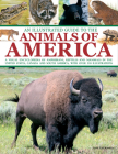 An Illustrated Guide to the Animals of America: A Visual Encyclopedia of Amphibians, Reptiles and Mammals in the United States, Canada and South Ameri By Tom Jackson Cover Image
