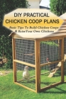 DIY Practical Chicken Coop Plans: Basic Tips To Build Chicken Coops & Raise Your Own Chickens: What Do You Build Inside A Chicken Coop By Brendan Mussenden Cover Image