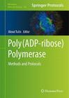 Poly(ADP-Ribose) Polymerase: Methods and Protocols (Methods in Molecular Biology #780) By Alexei V. Tulin (Editor) Cover Image