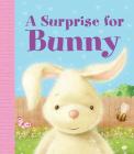 A Surprise for Bunny By Little Bee Books, Gareth Llewhellin (Illustrator) Cover Image