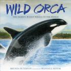 Wild Orca: The Oldest, Wisest Whale in the World By Brenda Peterson, Wendell Minor (Illustrator) Cover Image