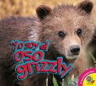 Yo Soy El Oso Grizzly Cover Image
