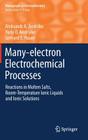 Many-Electron Electrochemical Processes: Reactions in Molten Salts, Room-Temperature Ionic Liquids and Ionic Solutions (Monographs in Electrochemistry) Cover Image