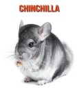 Chinchilla: Beautiful Pictures & Interesting Facts Children Book About Chinchilla By Katie Mercer Cover Image