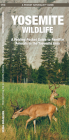 Yosemite Wildlife: A Folding Pocket Guide to Familiar Species (Pocket Naturalist Guide) By James Kavanagh, Waterford Press, Raymond Leung (Illustrator) Cover Image