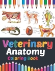 Veterinary Anatomy Coloring Book: Veterinary Anatomy Learning Workbook. Animal Anatomy Coloring Book. Kids Anatomy Coloring Book. Veterinary Anatomy C Cover Image
