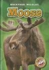 Moose (Backyard Wildlife) By Kristin Schuetz Cover Image