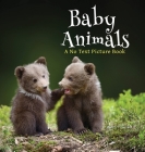 Baby Animals, A No Text Picture Book: A Calming Gift for Alzheimer Patients and Senior Citizens Living With Dementia Cover Image