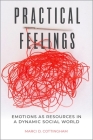 Practical Feelings: Emotions as Resources in a Dynamic Social World By Marci D. Cottingham Cover Image