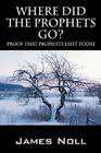 Where Did The Prophets Go?: Proof That Prophets Exist Today By James Noll Cover Image