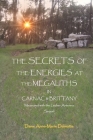 THE SECRETS OF THE ENERGIES AT THE MEGALITHS IN CARNAC & BRITTANY Measured with the Lecher Antenna Sequel By Anne-Marie Delmotte Cover Image