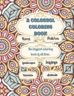 A Colossal Coloring Book: Landscapes, Floral, Patterns, Animals, Mandala By Lisa Arnold Nielsen Cover Image