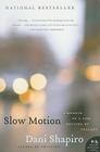 Slow Motion: A Memoir of a Life Rescued by Tragedy Cover Image
