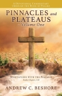 Pinnacles and Plateaus - Volume One: Meditations with the Psalmist By Andrew C. Beshore Cover Image