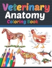 Veterinary Anatomy Coloring Book: Veterinary Anatomy Coloring Book For Medical, High School Students. Anatomy Coloring Book for kids. Veterinary Anato Cover Image