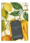 Botanical Art Notebook Set - Lemon, Chillis and Apples: 3 A5 Ruled Notebooks with Stitched Spines By Bodleian Library Cover Image
