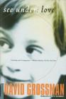See Under: LOVE: A Novel By David Grossman, Betsy Rosenberg (Translated by) Cover Image