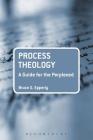 Process Theology: A Guide for the Perplexed (Guides for the Perplexed) Cover Image