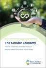 The Circular Economy: Meeting Sustainable Development Goals Cover Image