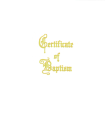 Traditional Steel-Engraved Adult/Youth Baptism Certificate (Pkg of 3) By Abingdon Press (Manufactured by) Cover Image
