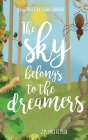 The Sky Belongs to the Dreamers By Jacob Hostetler Cover Image
