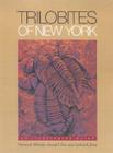 Trilobites of New York: Institutions and Social Conflict, 1946-1970 Cover Image