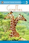 Giraffes (Penguin Young Readers, Level 3) By Jennifer Dussling Cover Image