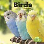 Birds (Our Pets) By Lisa J. Amstutz Cover Image
