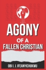 The Agony of a Fallen Christian Cover Image
