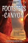 Fire in the Canyon and the Diary: A Footsteps in the Canyon Anthology Cover Image