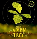 Lifecycles - Acorn to Tree (Lerner) (Life Cycles) By Camilla de la Bedoyere Cover Image