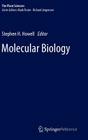 Molecular Biology (Plant Sciences #2) By Stephen H. Howell (Editor) Cover Image