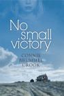 No Small Victory By Connie Brummel Crook Cover Image