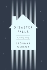 Disaster Falls: A Family Story By Stephane Gerson Cover Image