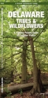 Delaware Trees & Wildflowers: A Folding Pocket Guide to Familiar Species By James Kavanagh, Waterford Press (Created by), Raymond Leung (Illustrator) Cover Image